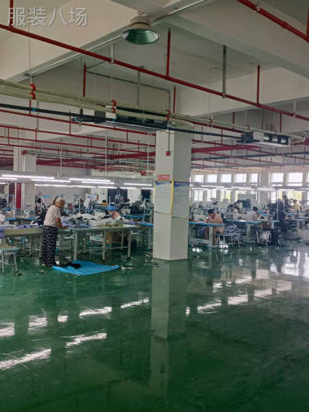 80人加工厂，接缝纫加工活，棉衣羽绒服-第1张图片
