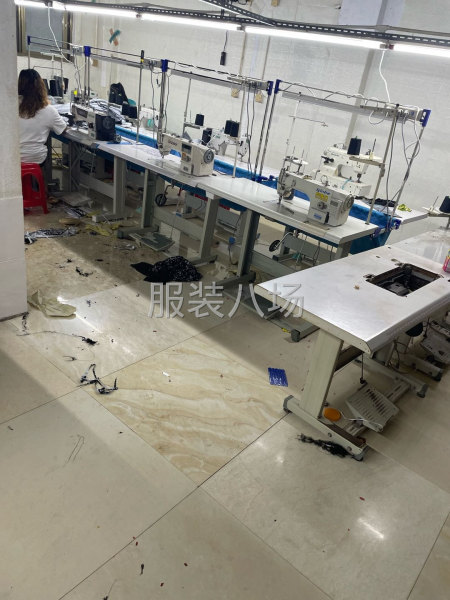 鳌江加工厂承接网批，拼多多，外发-第1张图片