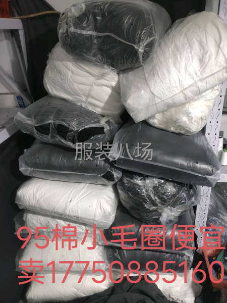 95棉小毛圈便宜賣-第1張圖片