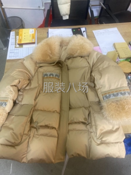500件羽绒服/女装外发-第1张图片