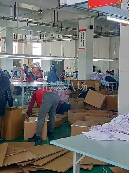 目前流水线20条，主要以加工为主，从来料加工到成品包装-第9张图片