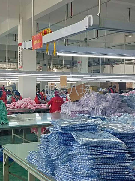 目前流水线20条，主要以加工为主，从来料加工到成品包装-第2张图片