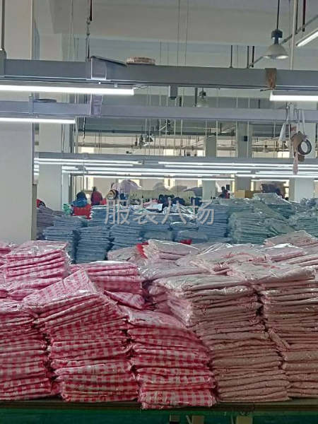 目前流水线20条，主要以加工为主，从来料加工到成品包装-第8张图片