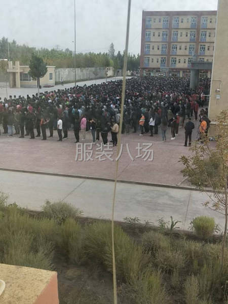 目前流水线20条，主要以加工为主，从来料加工到成品包装-第1张图片
