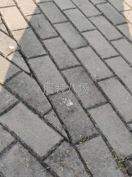 爽快老板联系，21，22一小时-第1张图片
