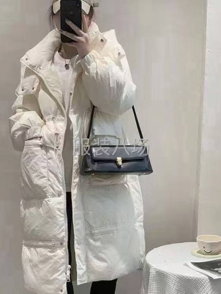批发羽绒服511件-第2张图片
