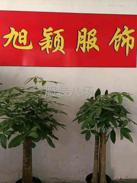 承接各种中高档服装-第1张图片