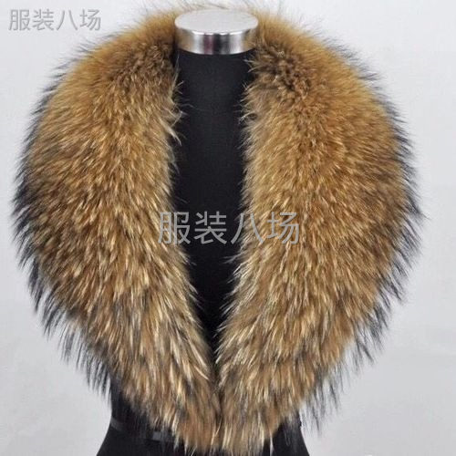 承接羽绒服毛领，貉子毛领，狐狸毛领，水貂毛领-第4张图片