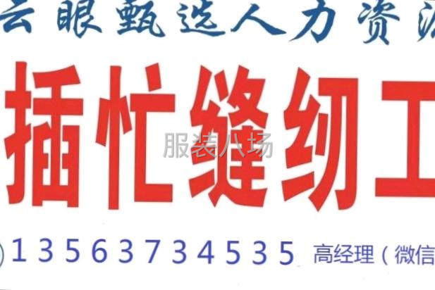 专业缝纫工输送，欢迎洽谈合作-第1张图片