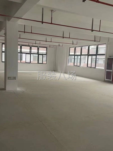 新建服装园厂房，无税收要求，首付三成，精装交付-第2张图片