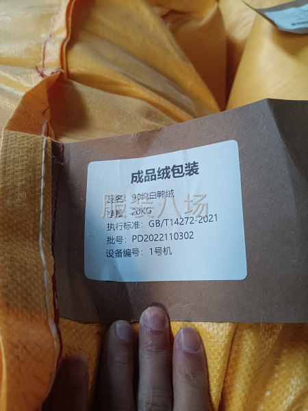 多彩羽絨  保質保量-第3張圖片