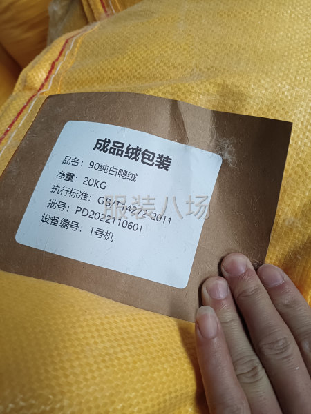 多彩羽絨  保質保量-第4張圖片