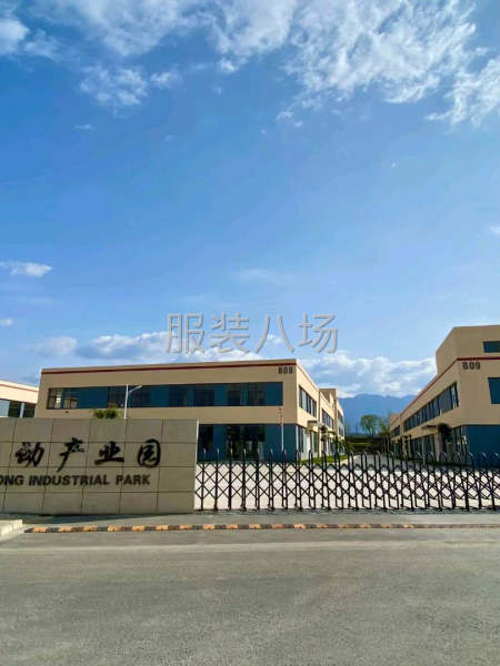 新廠開業(yè)，需要大量熟練車工，后到，裁剪，組長-第3張圖片