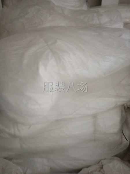 牛奶絲面料-第1張圖片