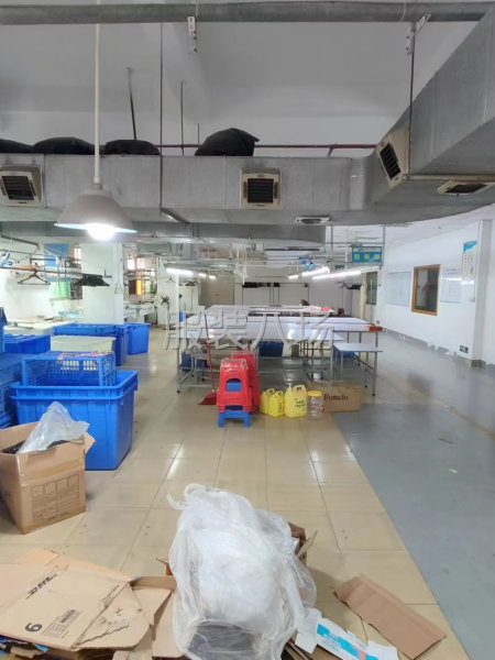 博美邻近布料市场独门独院原房东1050平实际面积现成制衣厂-第8张图片