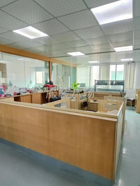 博美邻近布料市场独门独院原房东1050平实际面积现成制衣厂-第4张图片