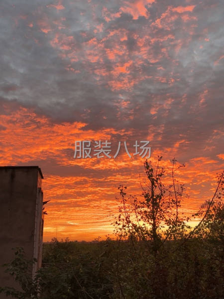 尋求長(zhǎng)期簡(jiǎn)單款客戶(hù)-第2張圖片