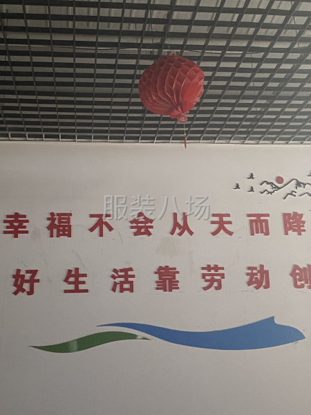 求職全職打邊,經驗12年-第1張圖片