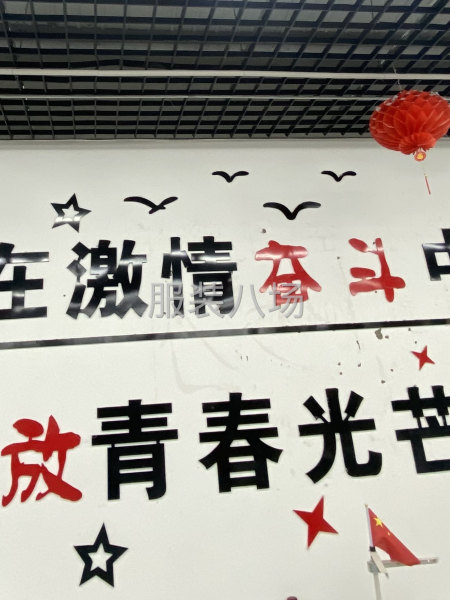 求職全職打邊,經驗12年-第2張圖片