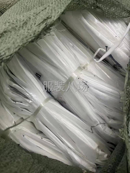 男女装 保罗T恤-第9张图片