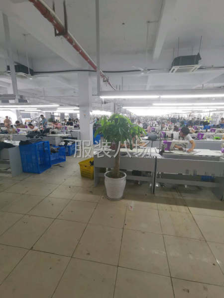 招聘熟练缝纫工若干名，小烫5名-第3张图片