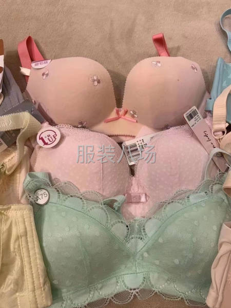 批发文胸5万件-第5张图片