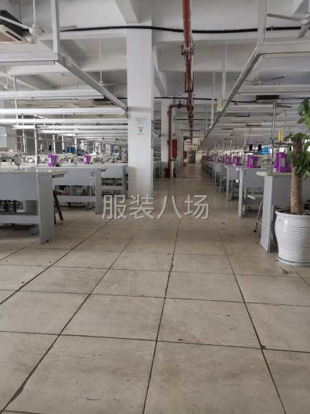 辛庄男装厂招工-第1张图片