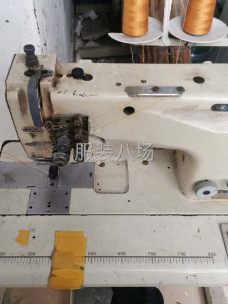 二手转让双针1台-第1张图片
