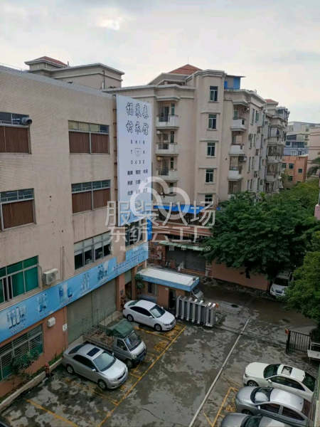 专业衬衫厂承接订单-第2张图片