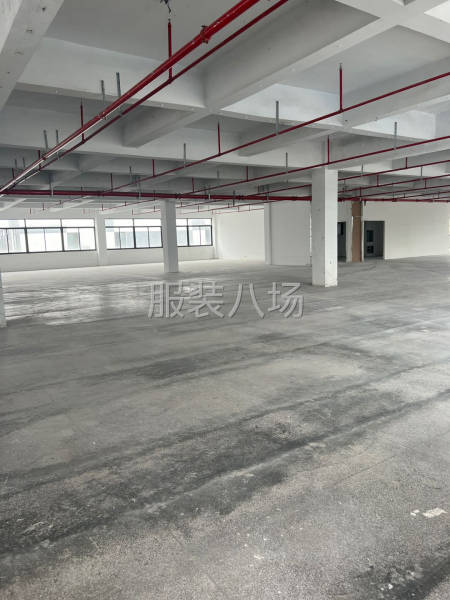 出租颜巷底楼700平 适合仓库 淘宝 直播。无污染加工-第1张图片