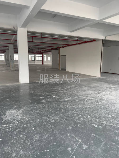 出租颜巷底楼700平 适合仓库 淘宝 直播。无污染加工-第2张图片