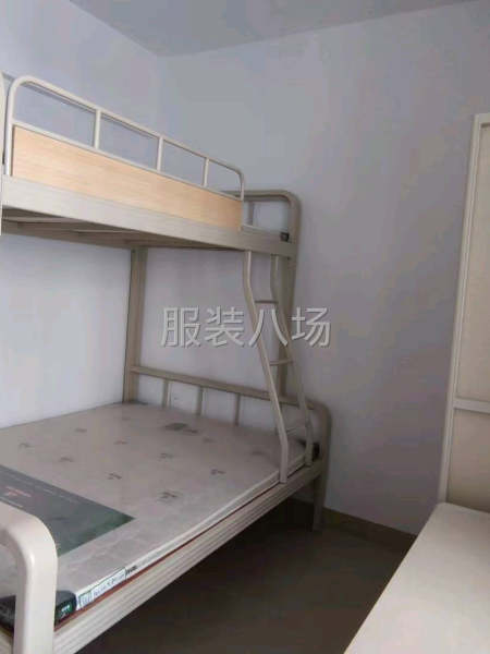 鴻星爾克（泉州）服裝中心招聘-第5張圖片