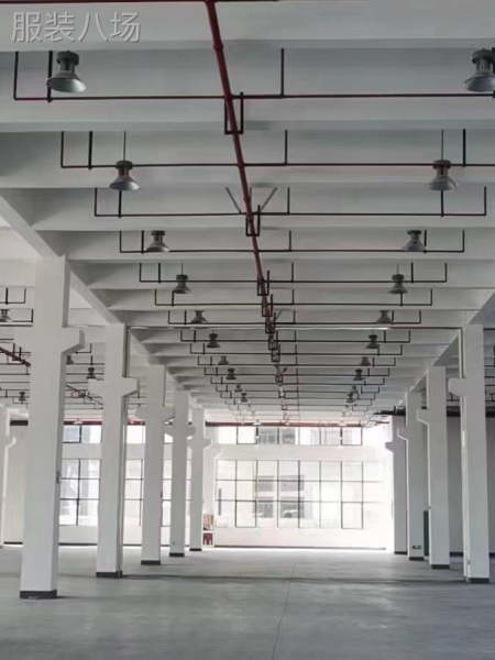 杭州新建独栋二三层独栋厂房-第1张图片