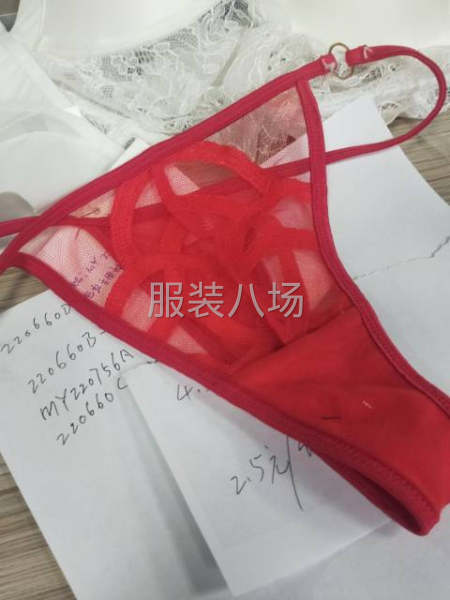 莉星妮制衣厂：专业生产：泳装，吊带衫，女士内裤：为主！-第3张图片