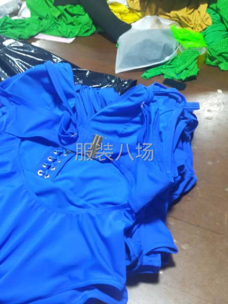 莉星妮制衣厂：专业生产：泳装，吊带衫，女士内裤：为主！-第1张图片