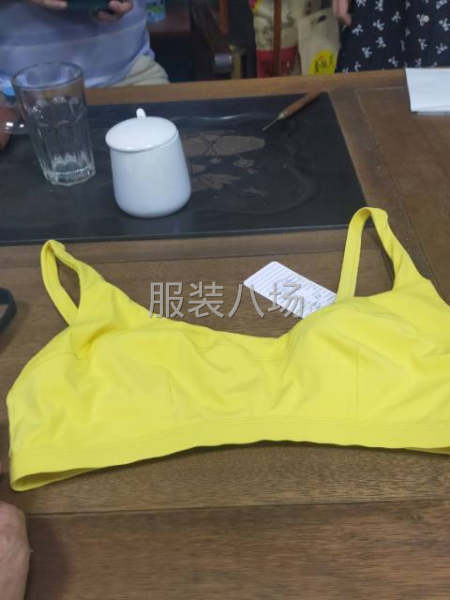 莉星妮制衣厂：专业生产：泳装，吊带衫，女士内裤：为主！-第9张图片