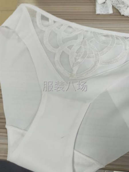 莉星妮制衣厂：专业生产：泳装，吊带衫，女士内裤：为主！-第4张图片