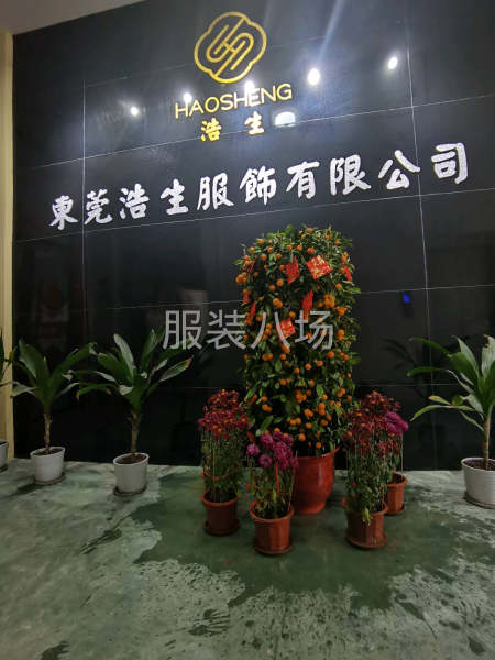 招车位若干名-第2张图片