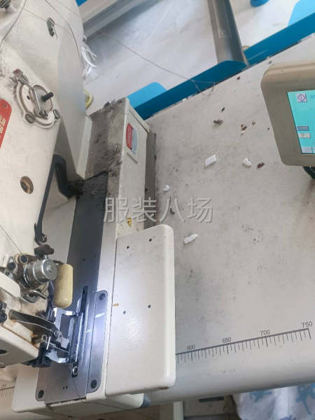 布鲁斯1790锁眼机便宜转让-第1张图片