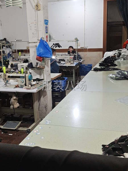 本廠，網店貨，直播貨-第1張圖片