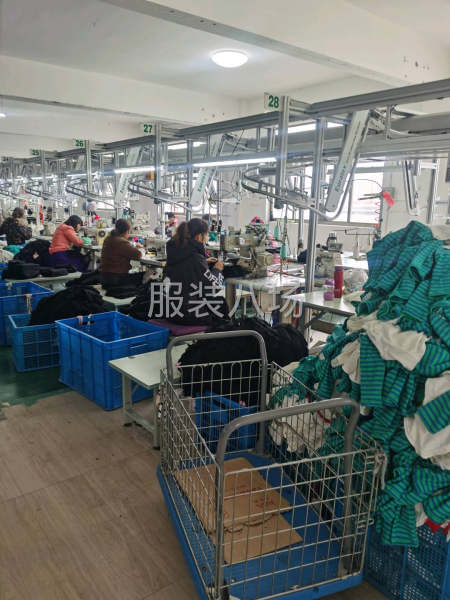 承接内外贸经销单，针织服装订单-第1张图片