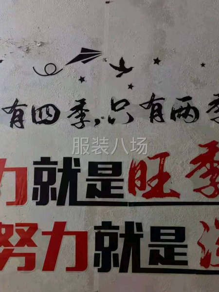 急招自縫自訂和熟手電平多名-第3張圖片