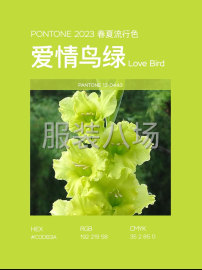 undefined - 找样代发货 - 图2