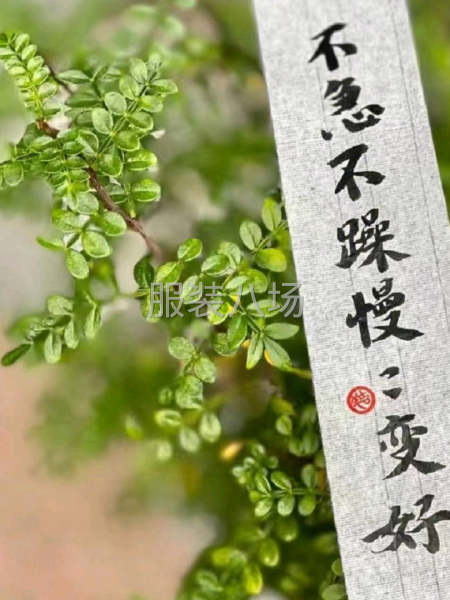 开发区女装缝制加工厂-第1张图片