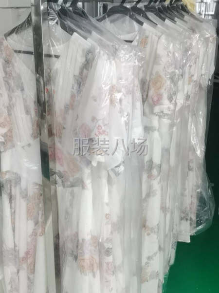兰丽斯服饰有限公司-第1张图片