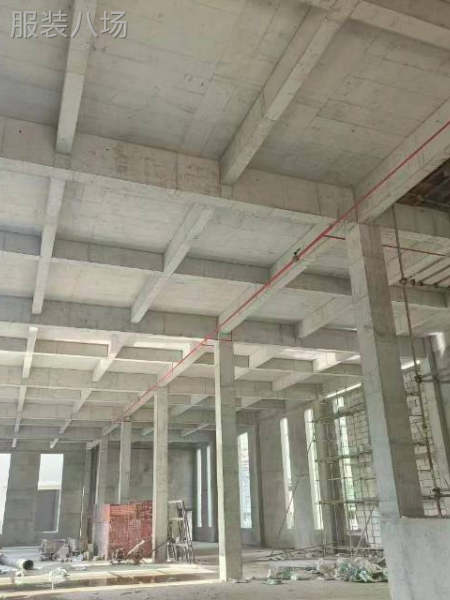 新建两层三层独门独栋厂房招商，环评代办-第1张图片