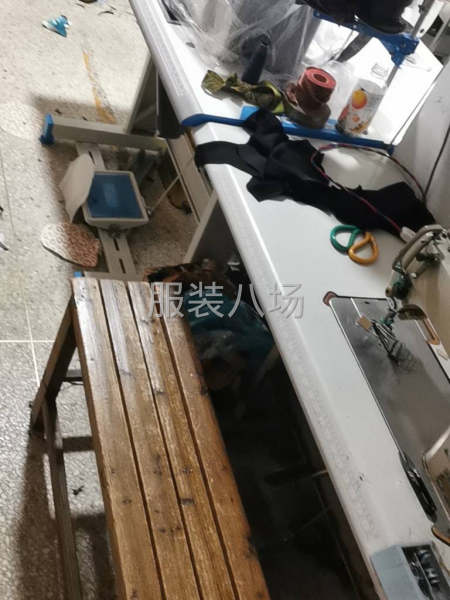 专业，梭子连衣裙，网单，市场货，T恤-第2张图片