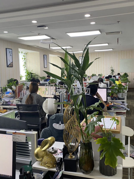 设计部日常对接新款-第2张图片