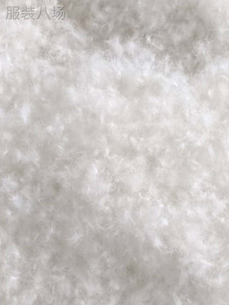 安徽庐玉羽绒厂常年出售各达标各规格鸭绒鹅绒-第2张图片