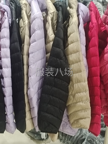 批发羽绒服8600件-第5张图片